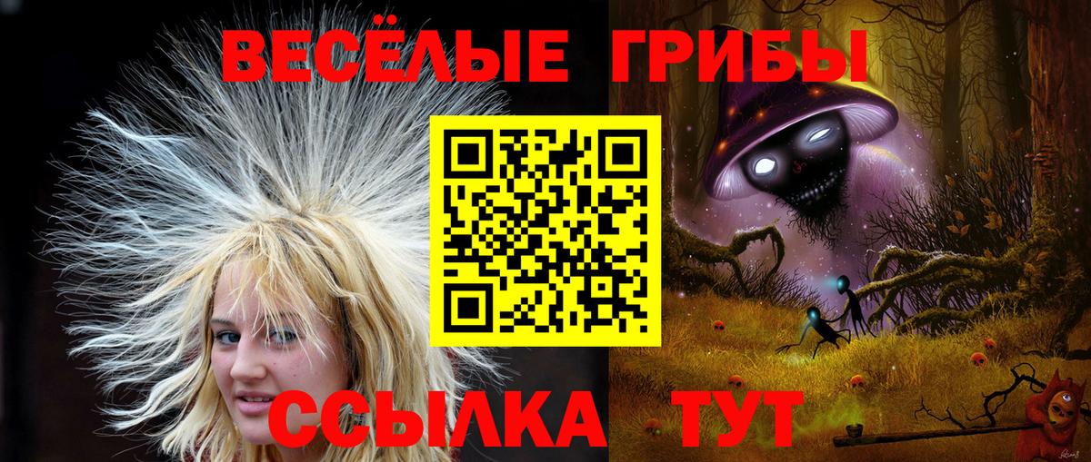 Галлюциногенные грибы мицелий Черняховск